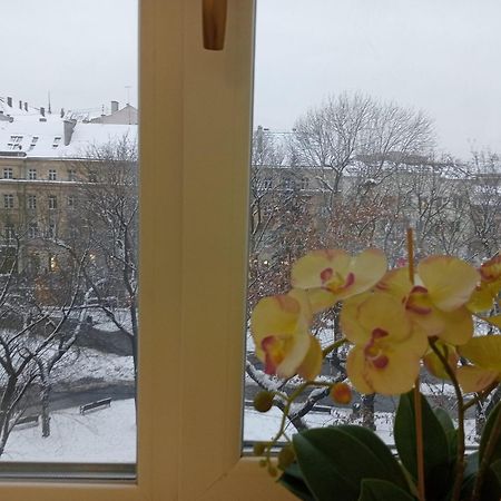 Apartment On Historical Center Of Львов Экстерьер фото