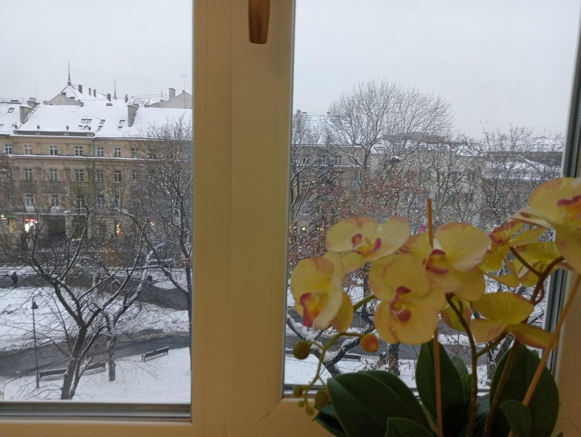 Apartment On Historical Center Of Львов Экстерьер фото